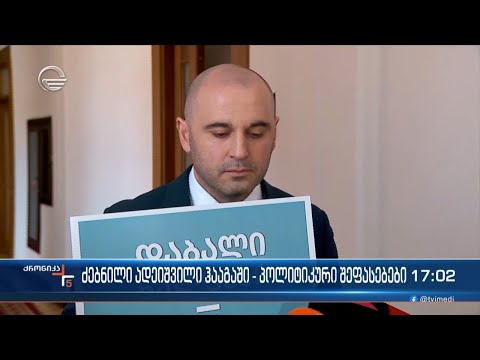 ძებნილი ადეიშვილი ჰააგაში - პოლიტიკური შეფასებები